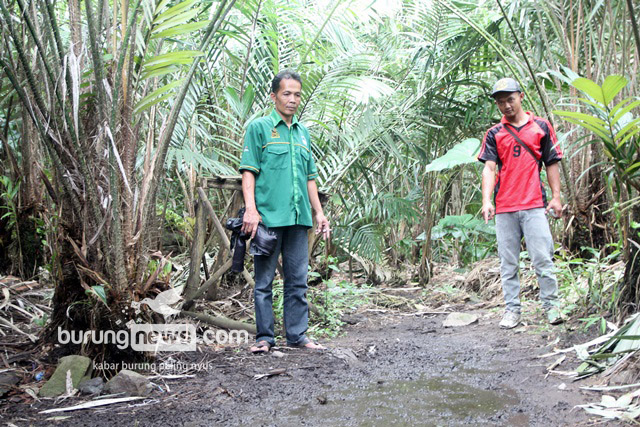 Mereka Siap Bertaruh Nyawa Demi Menjaga Burung Di Alam Bebas