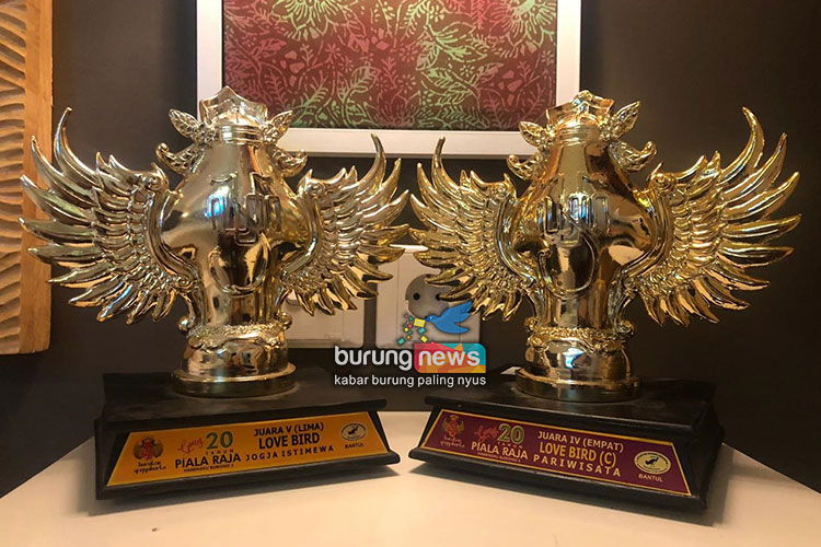20th Piala Raja 2019 27 Gudangnya Love Bird Konslet Di Sumatera Lion Sf Jambi Bawa Pulang Tropi Maskot Raja Burungnews