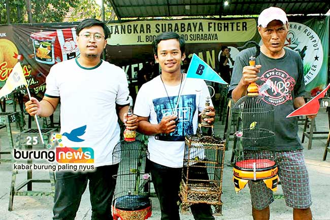 38++ Kabar burung news terbaru